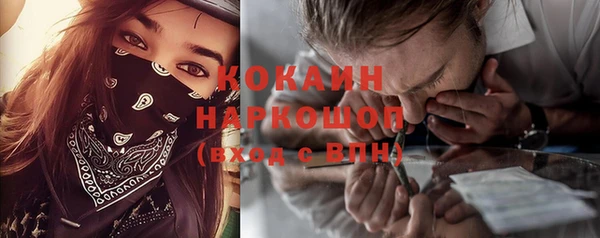 spice Новозыбков