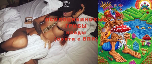 индика Армянск