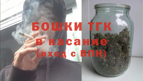 индика Армянск