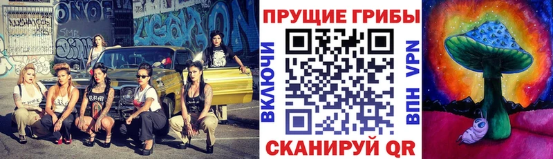 сколько стоит  МЕГА ссылка  Псилоцибиновые грибы ЛСД  Голицыно 
